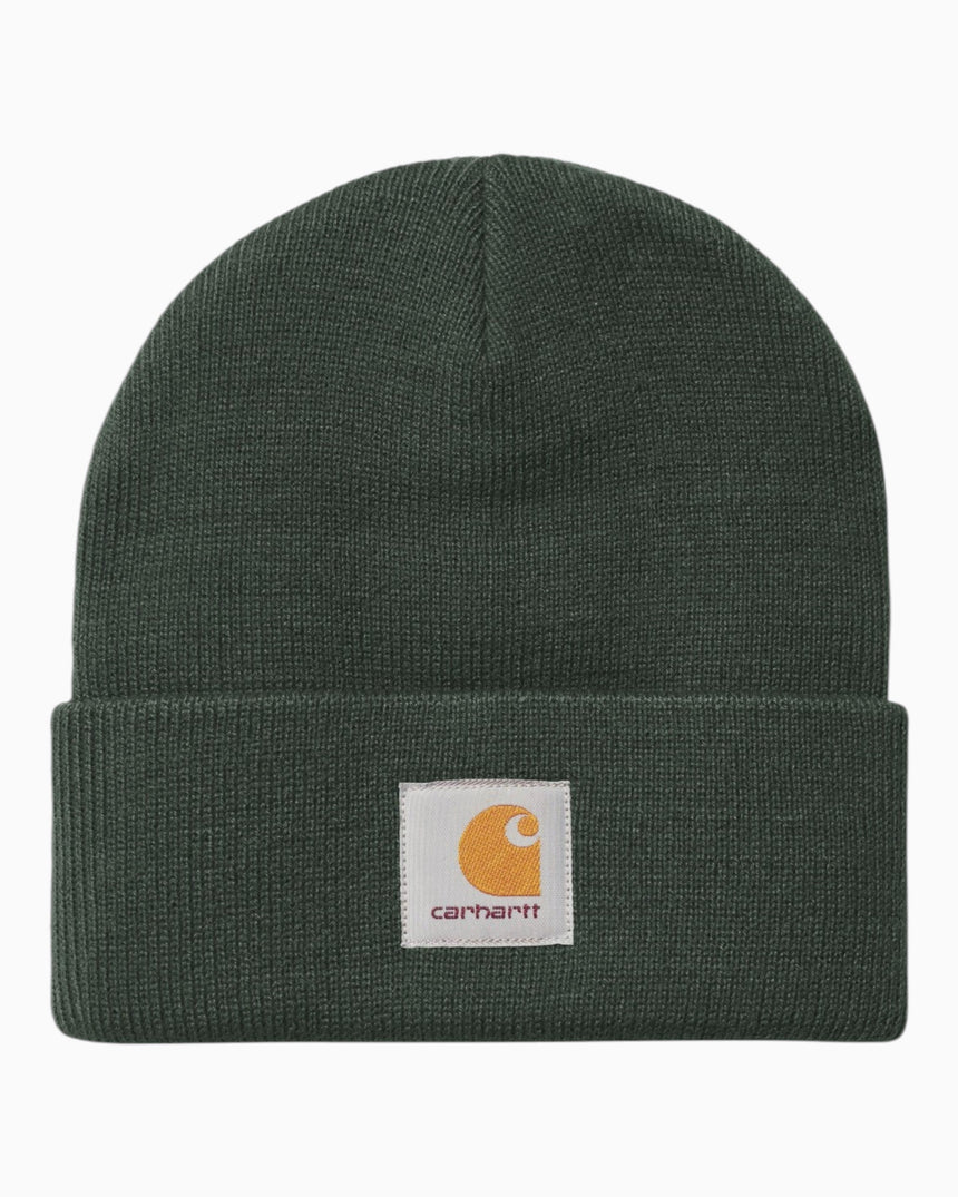 Carhartt WIP Short Watch Hat Dark Scarab