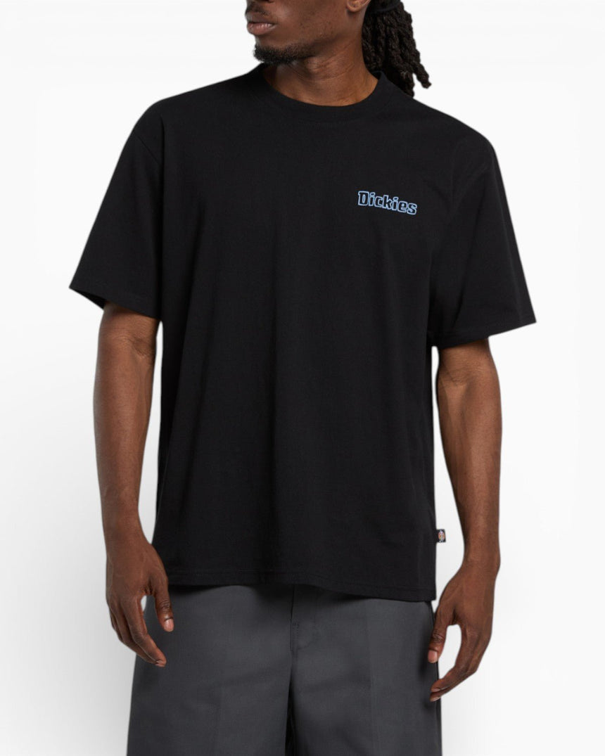 Dickies Fairlawn SS Erkek T-Shirt