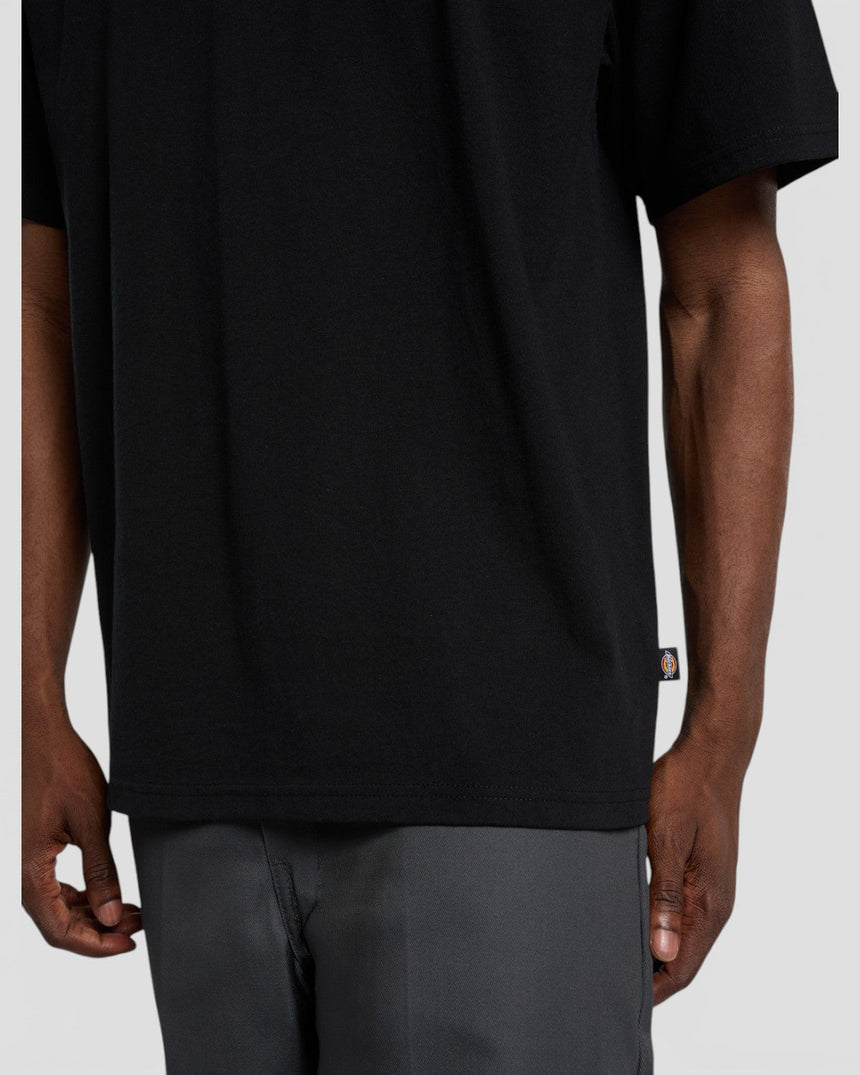 Dickies Fairlawn SS Erkek T-Shirt