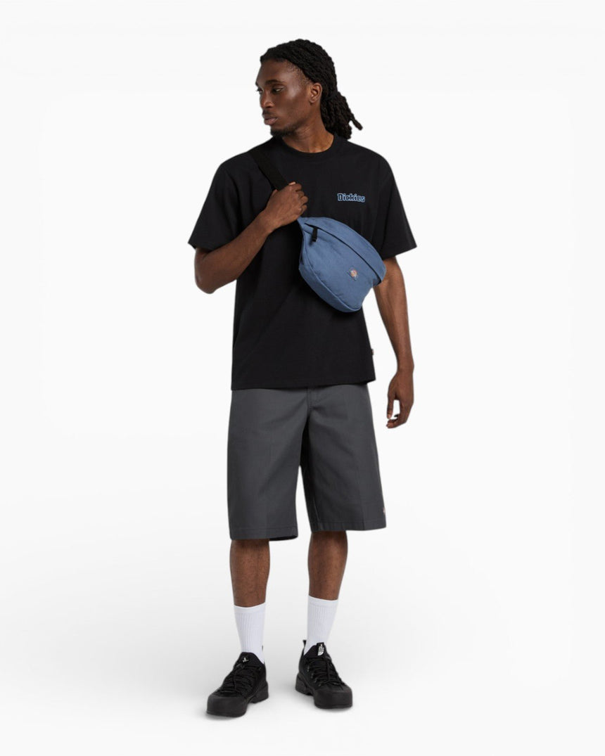 Dickies Fairlawn SS Erkek T-Shirt