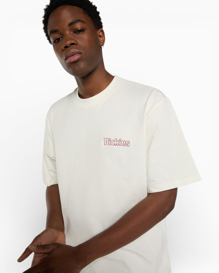 Dickies Fairlawn SS Erkek T-Shirt