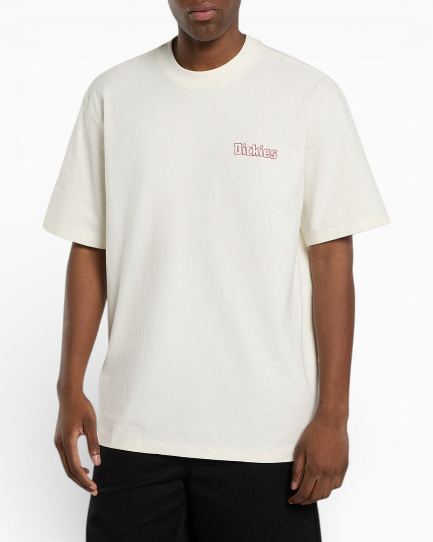 Dickies Fairlawn SS Erkek T-Shirt