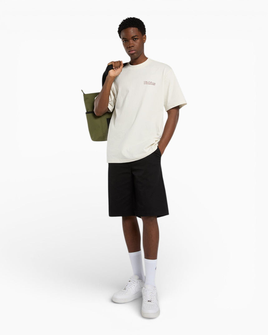 Dickies Fairlawn SS Erkek T-Shirt