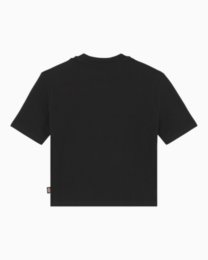 Dickies Maple Valley Kadın T-Shirt