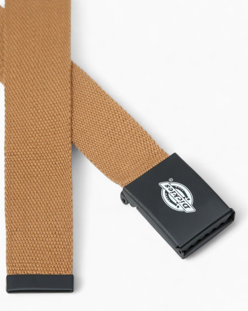 Dickies Orcutt Webbing Kemer