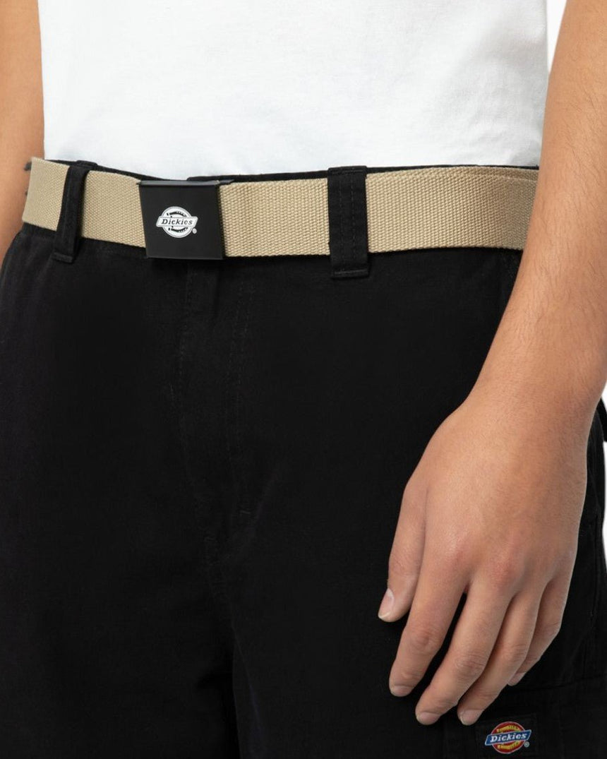 Dickies Orcutt Webbing Kemer