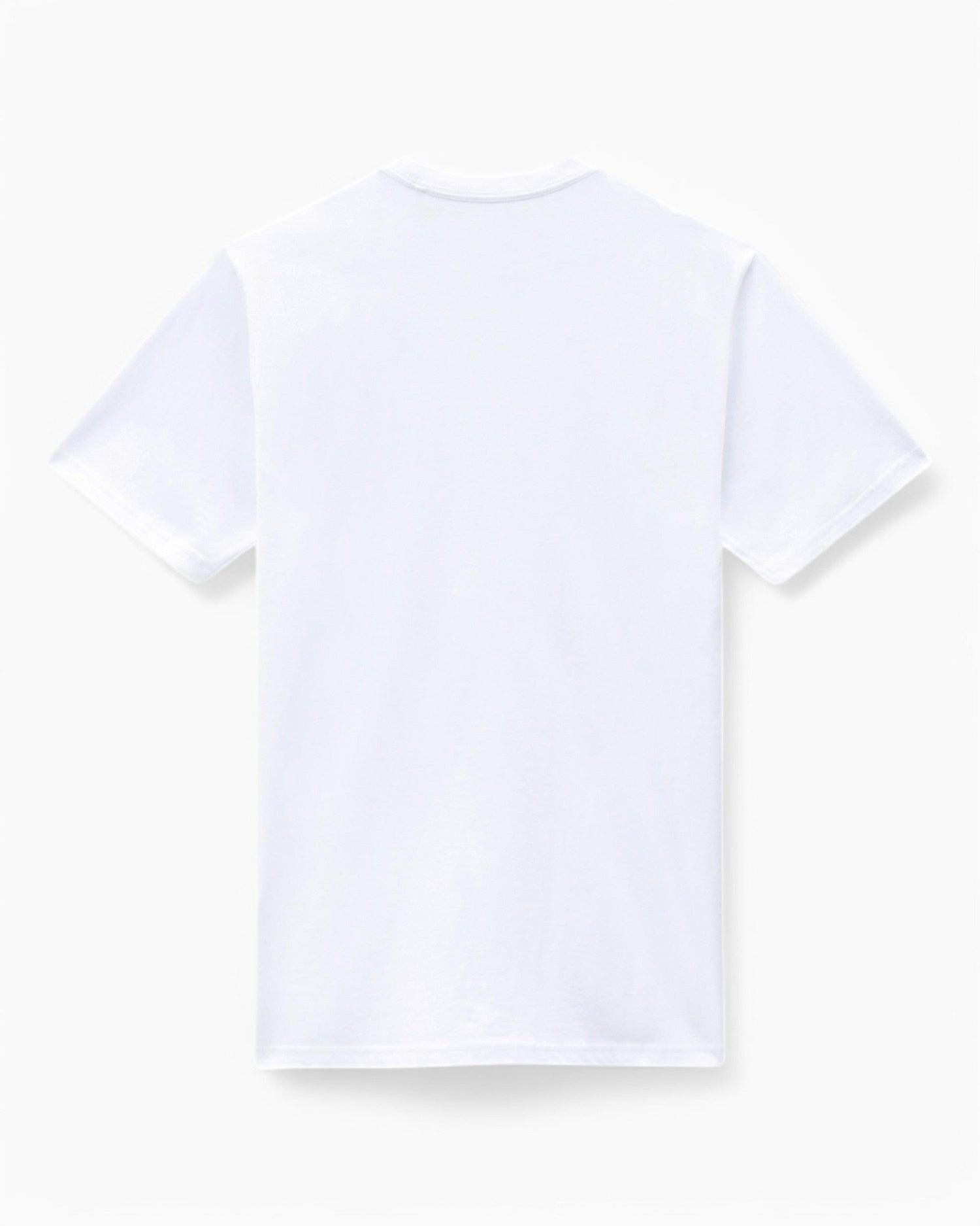 Dickies SS Mapleton Erkek T-Shirt