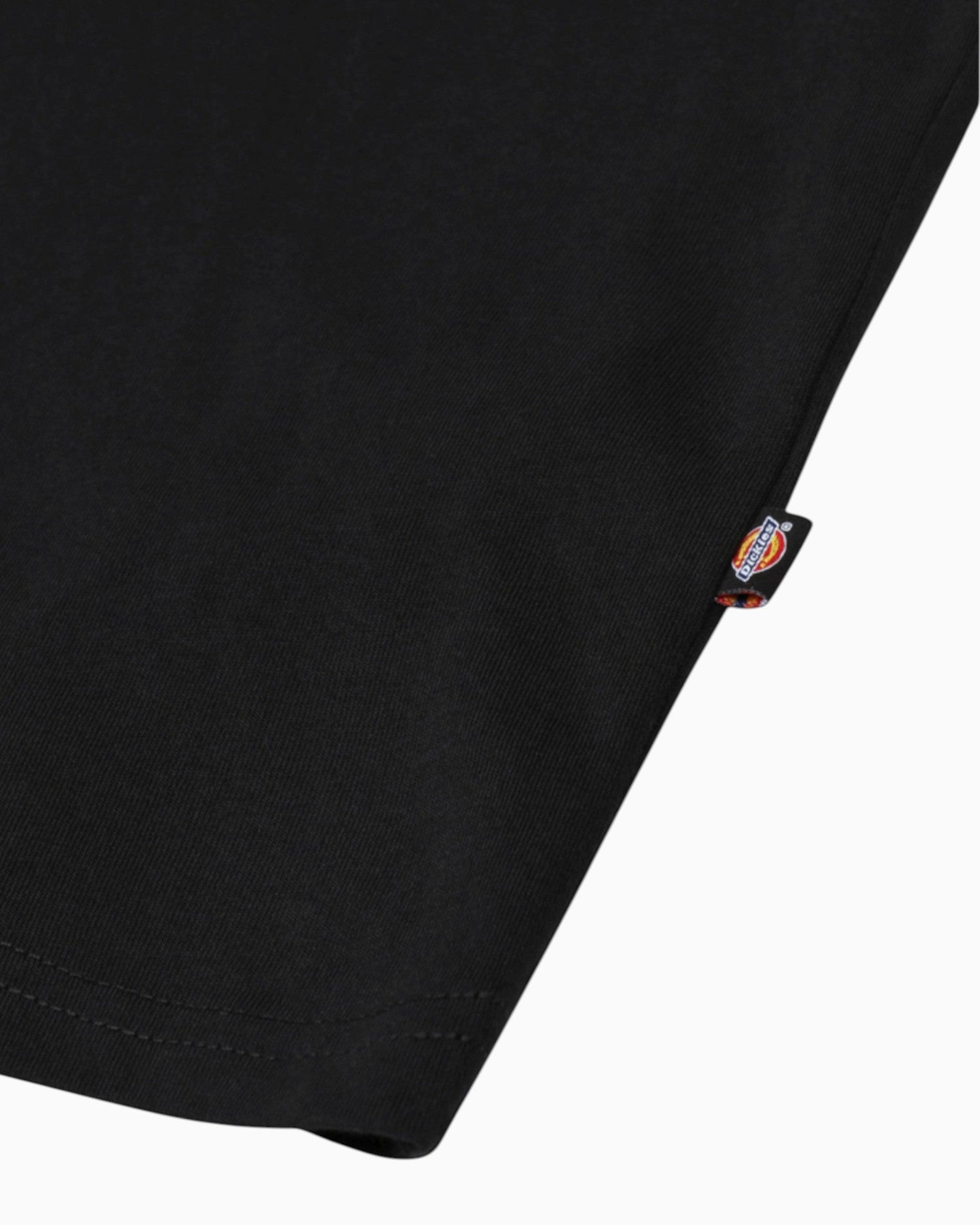 Dickies SS Mapleton Erkek T-Shirt