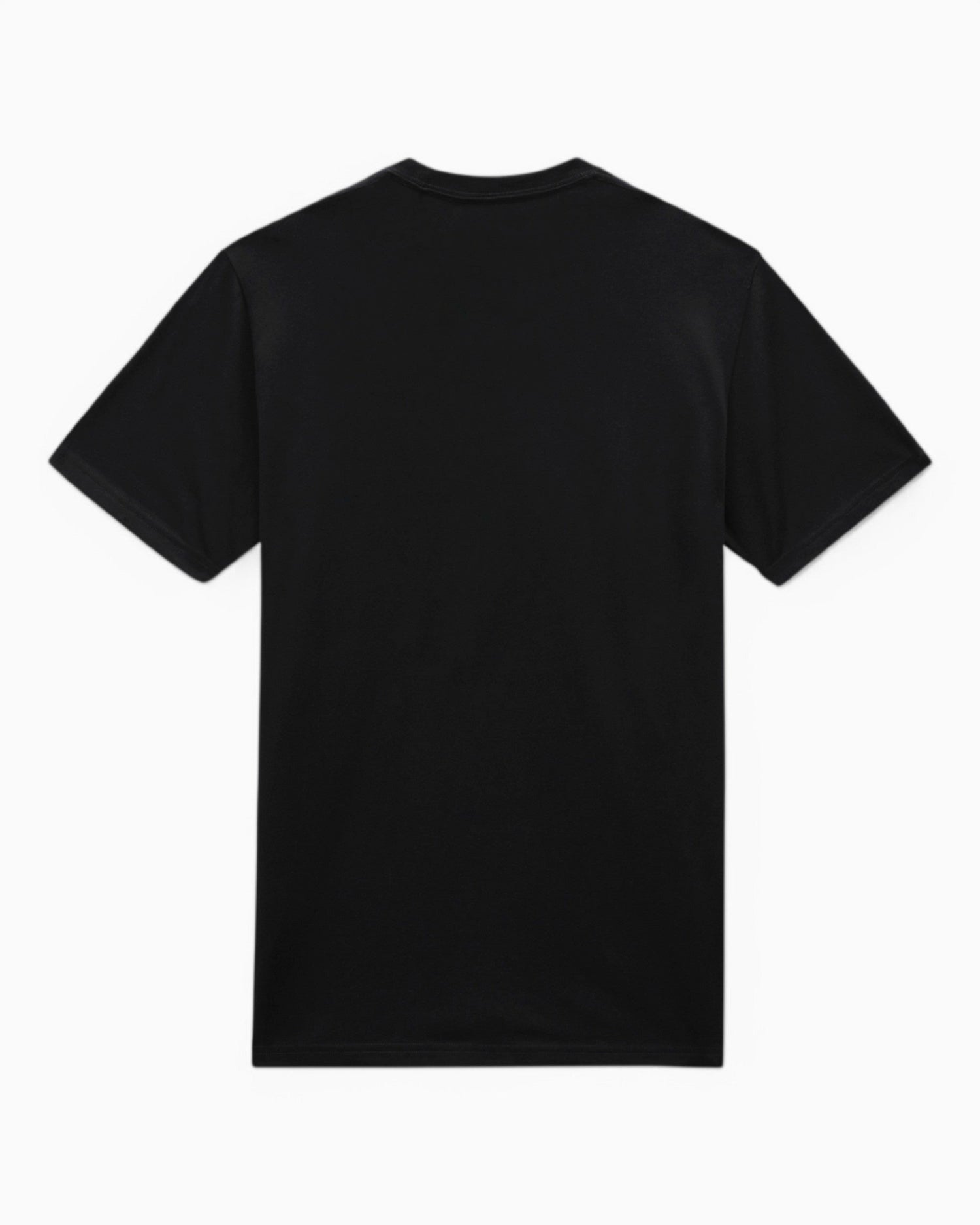 Dickies SS Mapleton Erkek T-Shirt