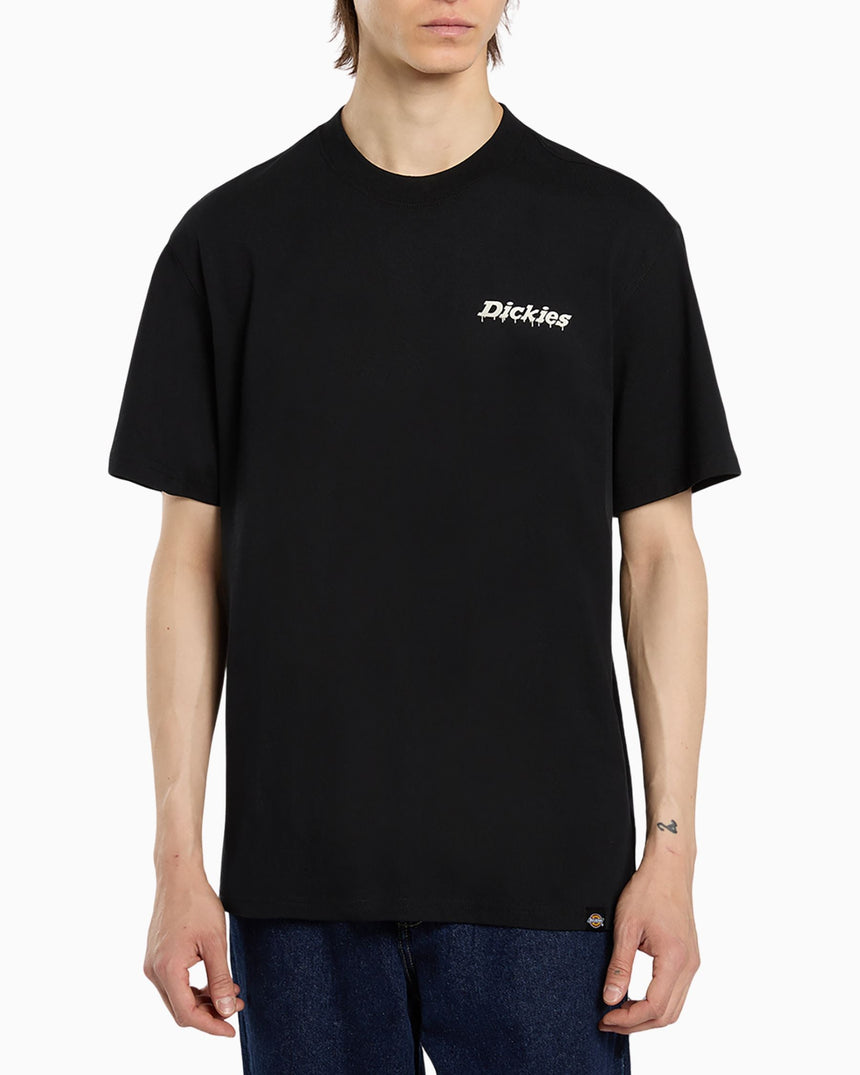 Dickies Statesville SS Erkek T-Shirt