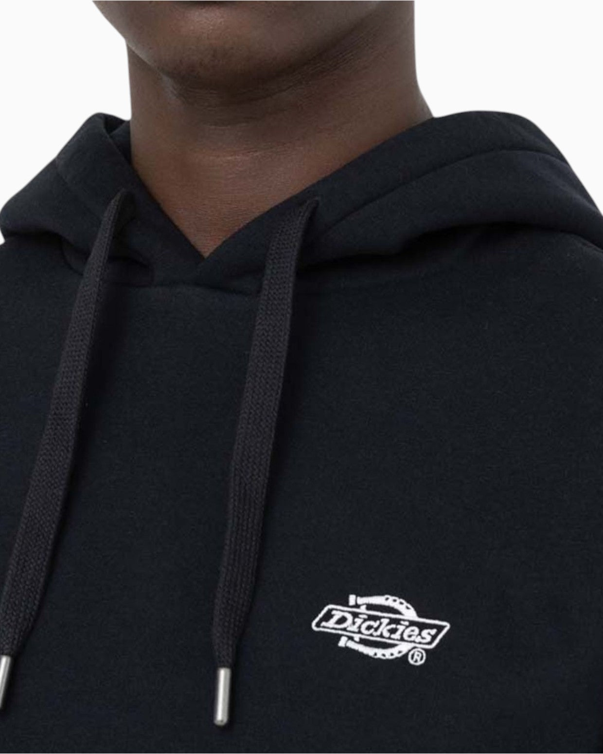 Dickies Summerdale Erkek Hoodie