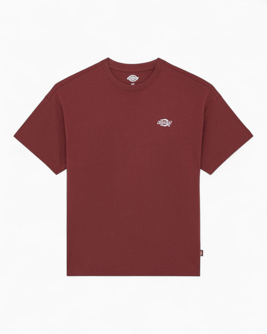 Dickies Summerdale Erkek T-Shirt Andorra