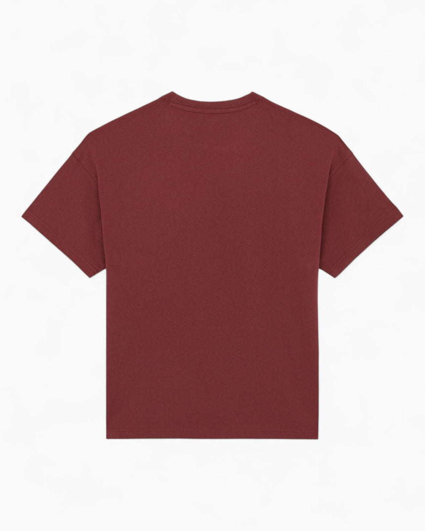 Dickies Summerdale Erkek T-Shirt