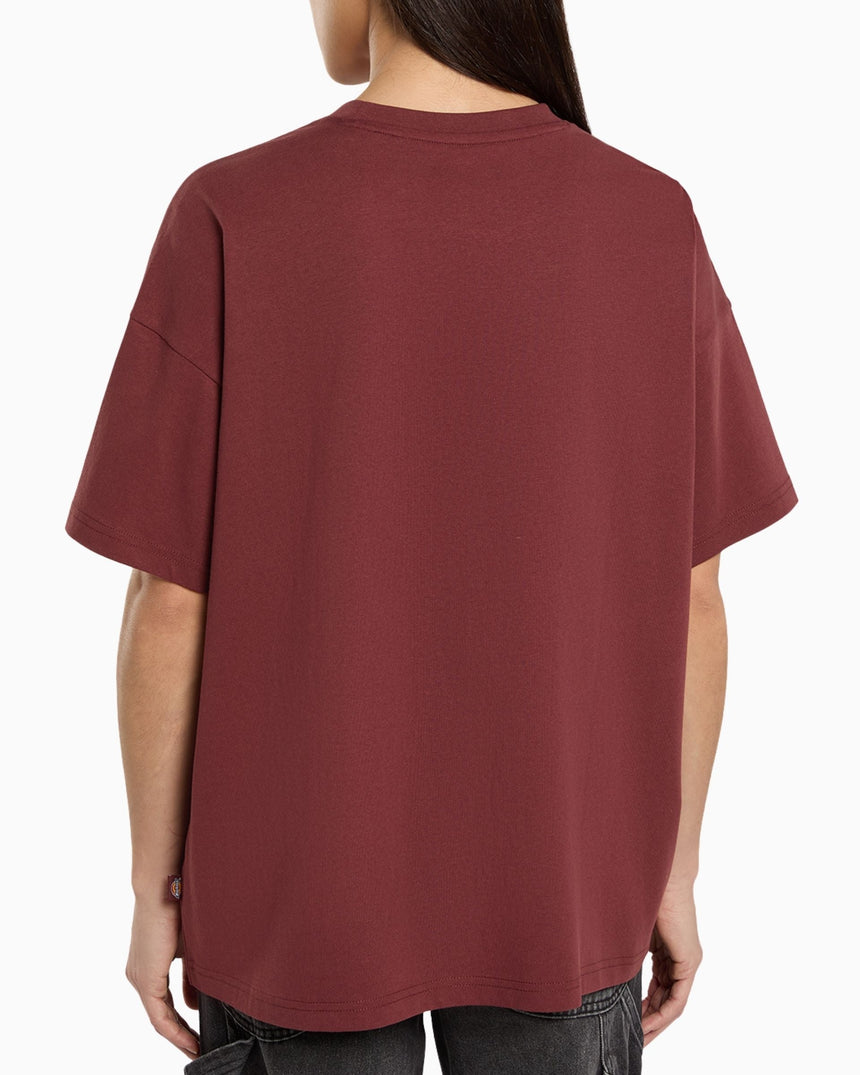 Dickies Summerdale Erkek T-Shirt