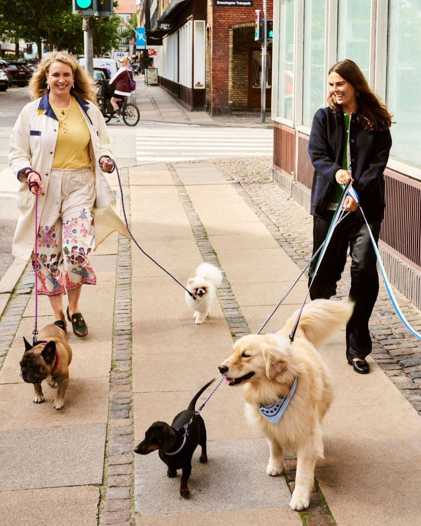 HAY Design Dogs Leash Braided