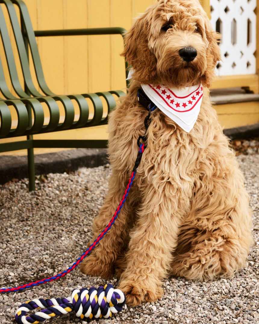 HAY Design Dogs Rope Toy