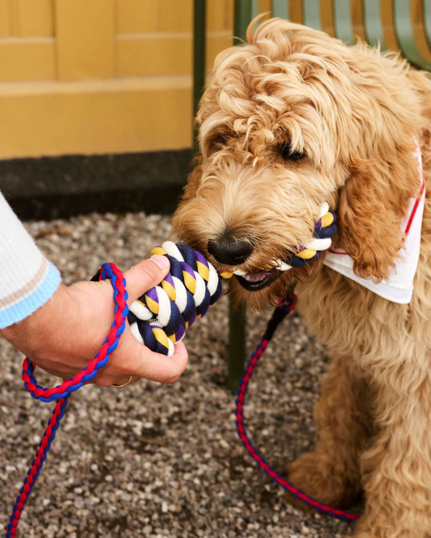 HAY Design Dogs Rope Toy