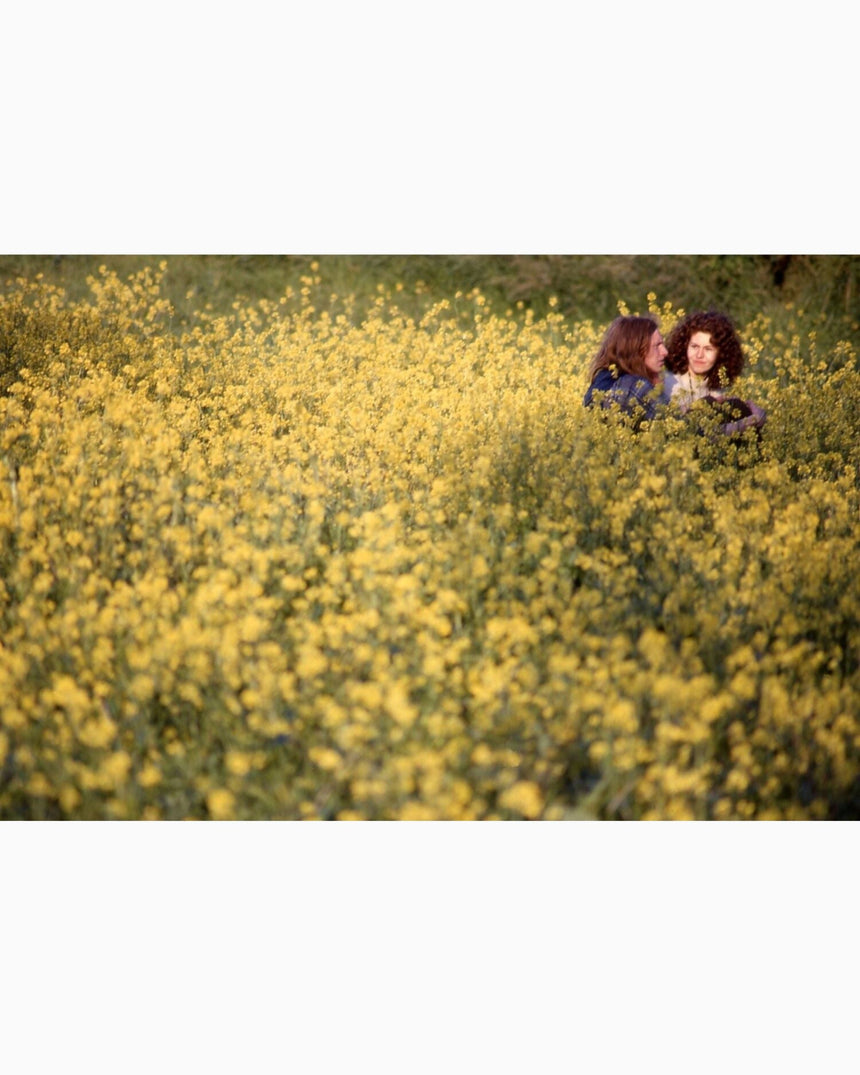 IDEA Paul Misso In The Vale of Avalon: Glastonbury Festival 1971