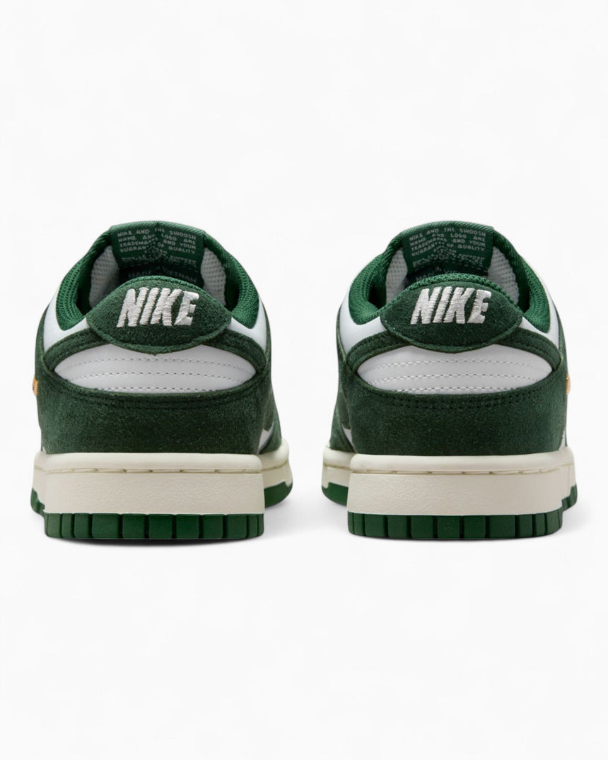 Nike Dunk Low Kadın Sneaker