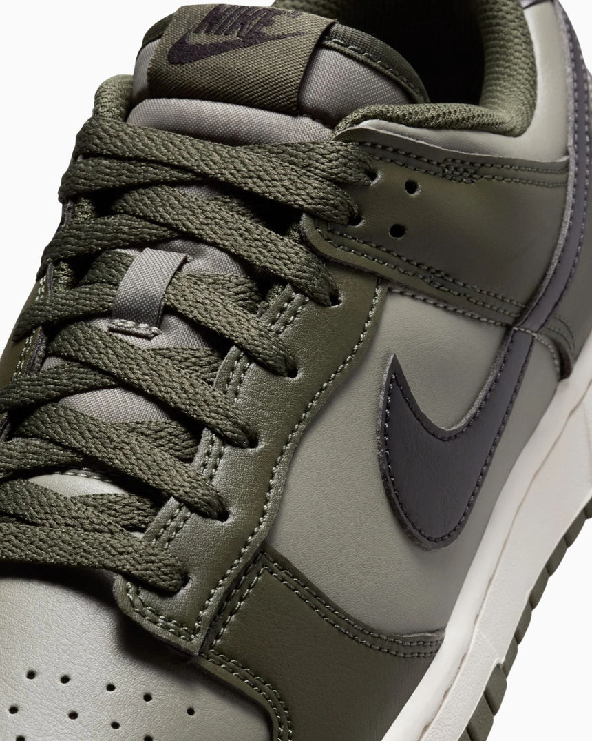 Nike Dunk Low Retro Sneaker