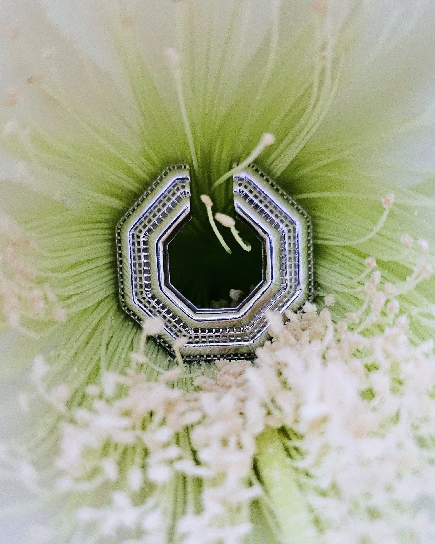 PACAL Octavia Earcuff