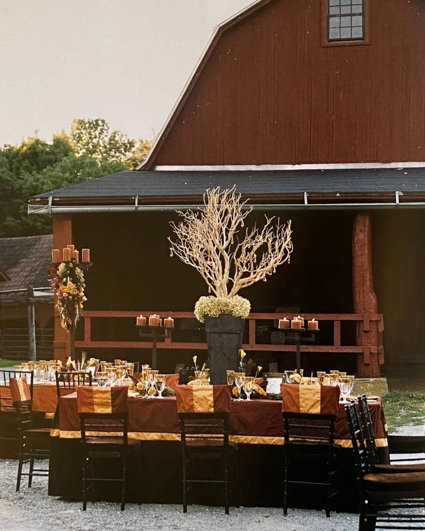 Pestil Books for vitruta America Entertains: A Year of Imaginative Parties