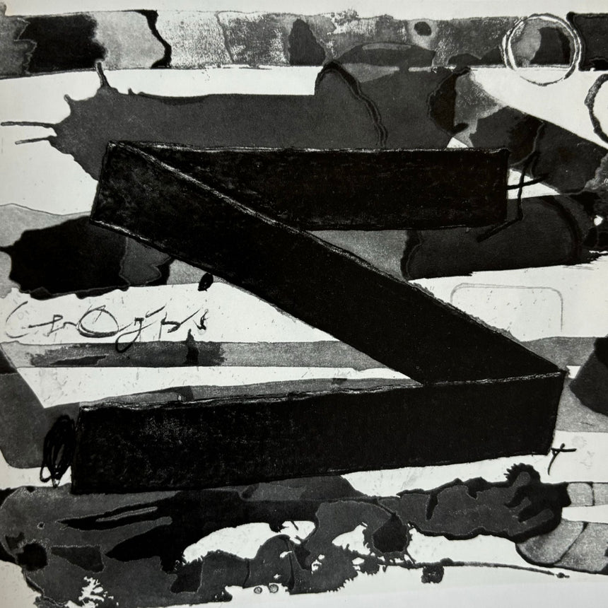 Pestil Books for vitruta Antoni Tàpies in Print