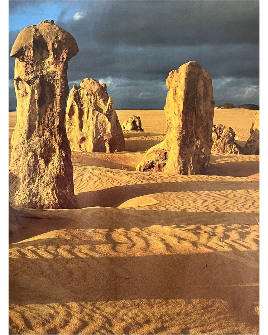 Pestil Books for vitruta Australia