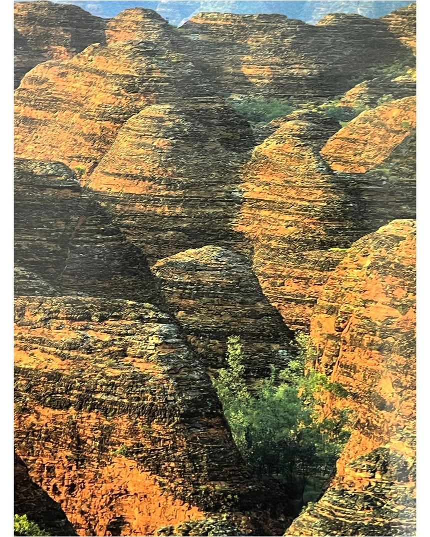 Pestil Books for vitruta Australia