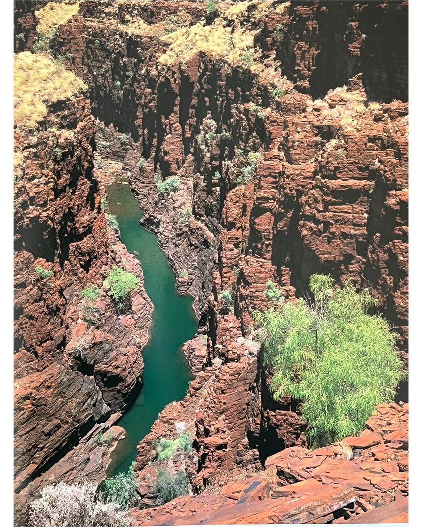 Pestil Books for vitruta Australia