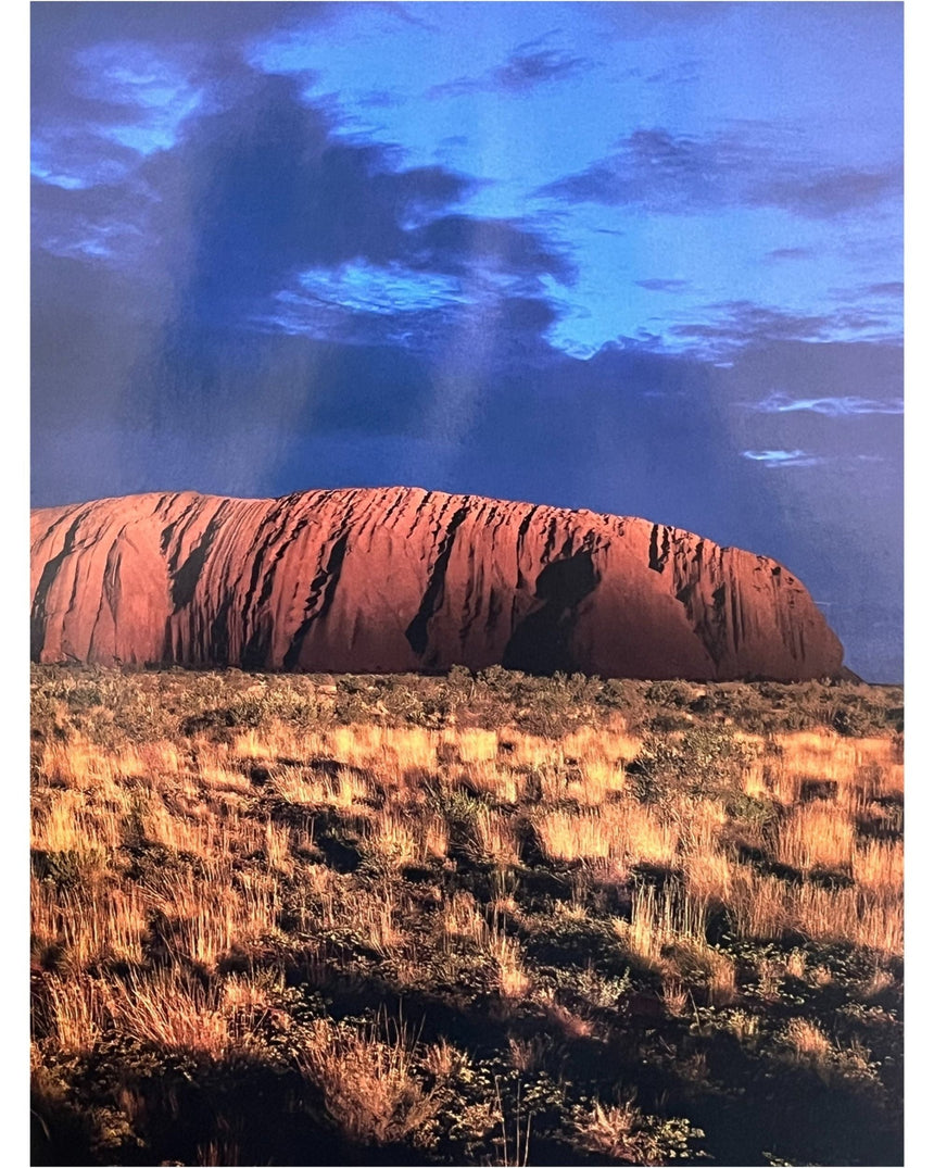 Pestil Books for vitruta Australia