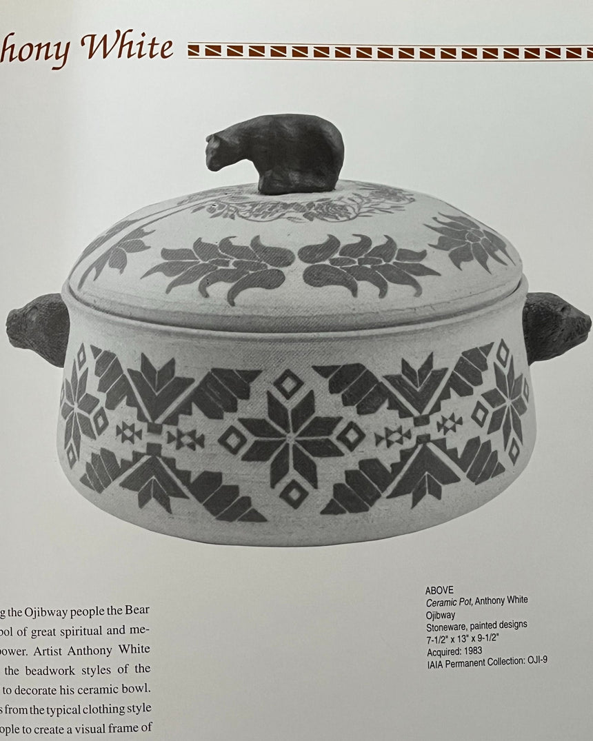 Pestil Books for vitruta Creativity Is Our Tradition: Three Decades of Contemporary Indian Art at the Institute of American Indian Arts