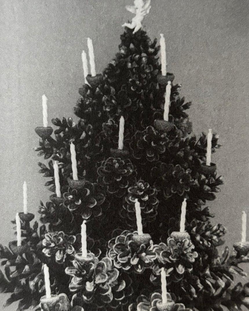 Pestil Books for vitruta Designing with Natural Materials