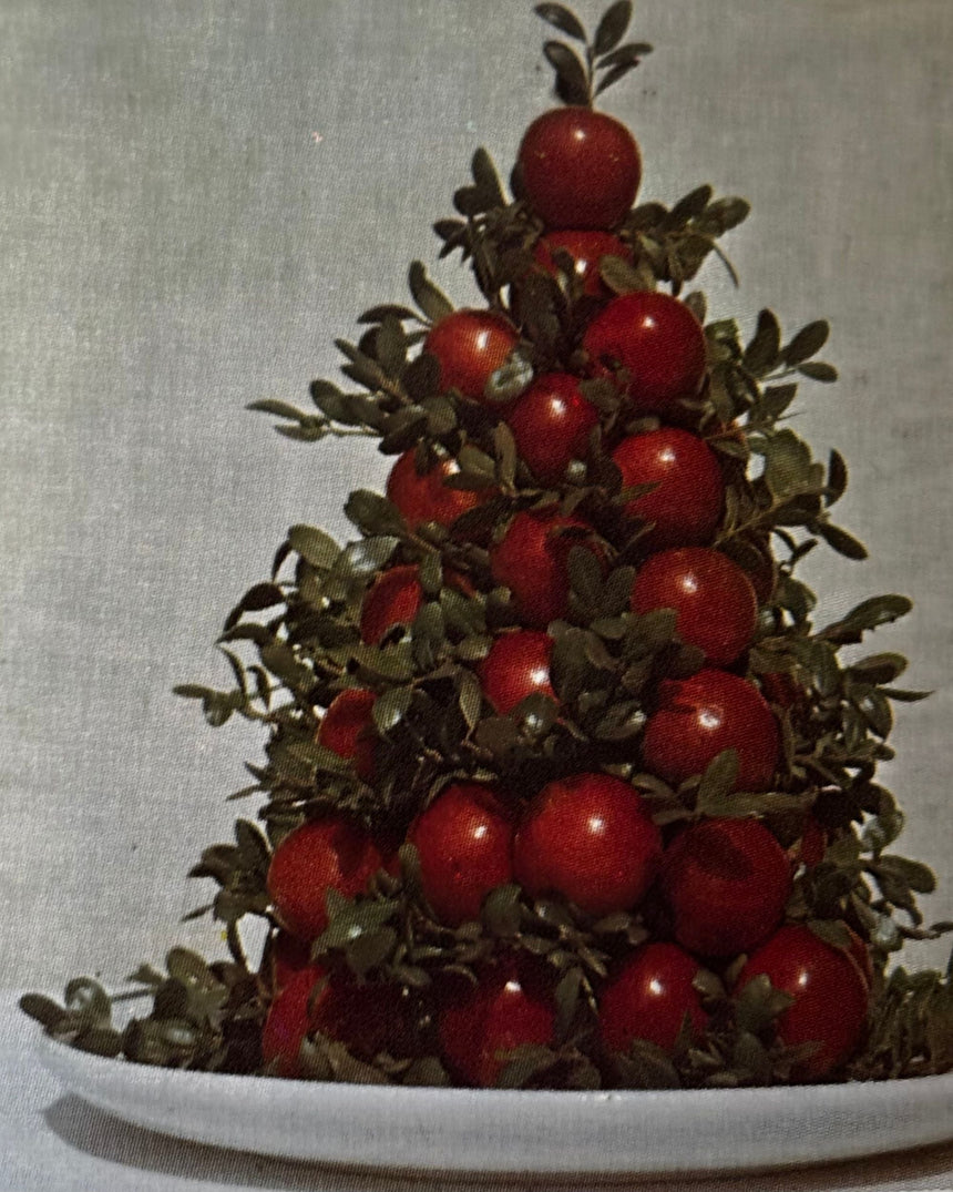 Pestil Books for vitruta Designing with Natural Materials