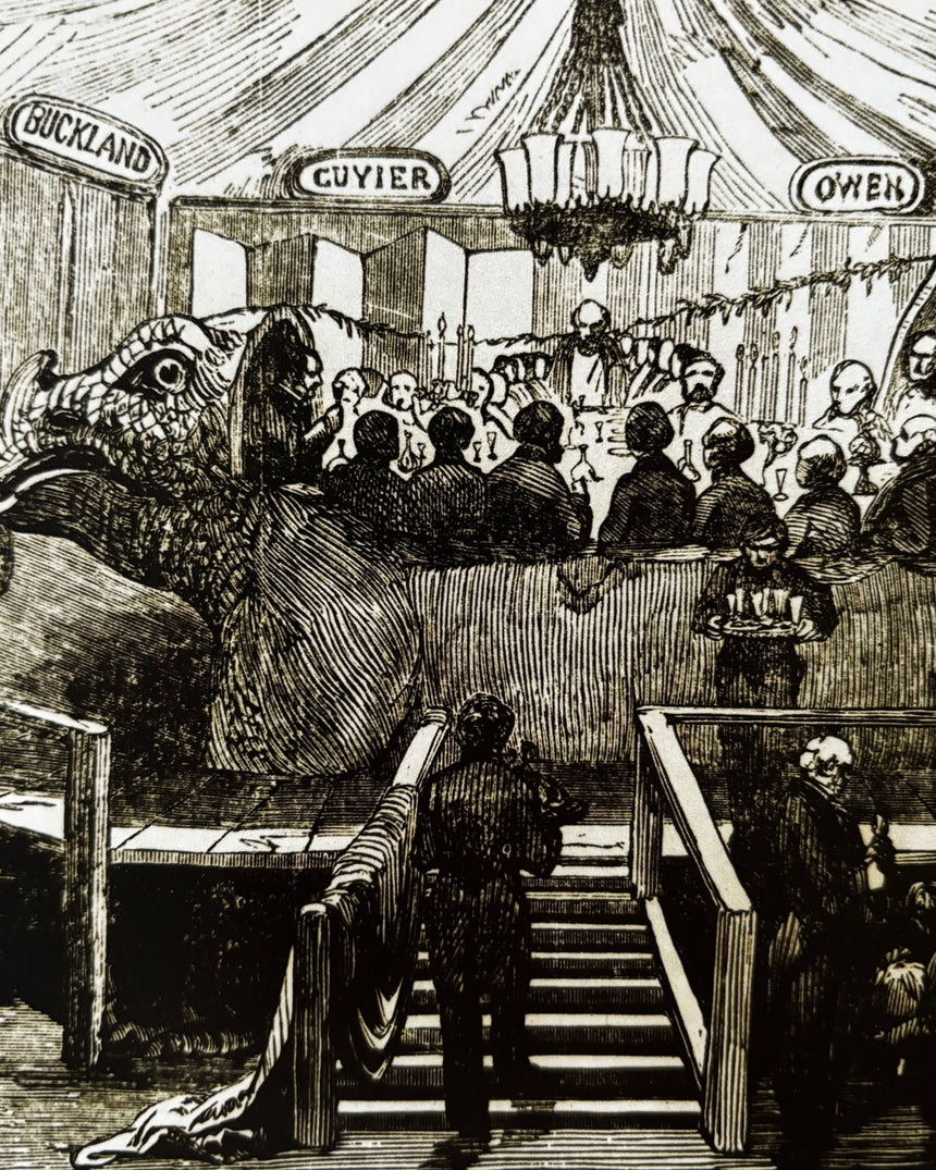 Pestil Books for vitruta Dippy: The Tale of a Museum Icon