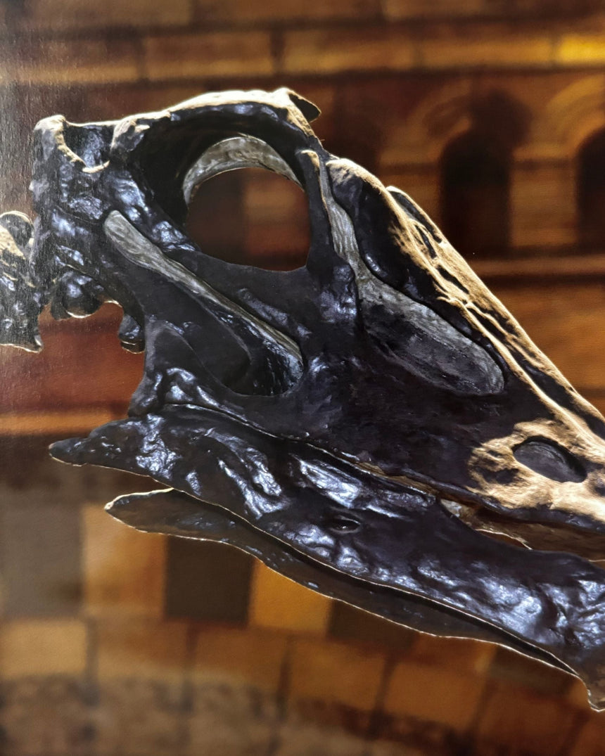 Pestil Books for vitruta Dippy: The Tale of a Museum Icon