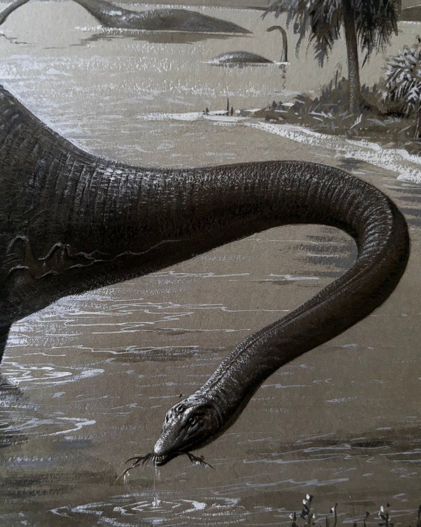 Pestil Books for vitruta Dippy: The Tale of a Museum Icon