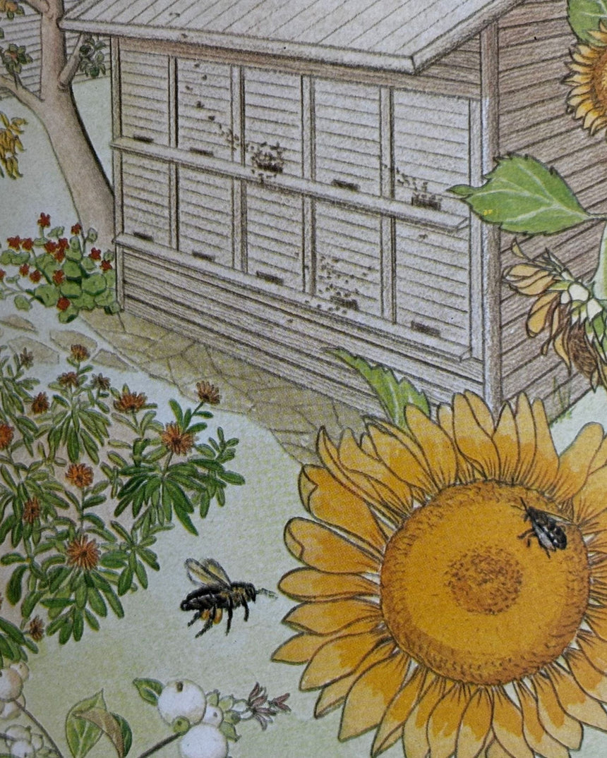 Pestil Books for vitruta Erfolgreich gärtnern: durch naturgemäßen Anbau