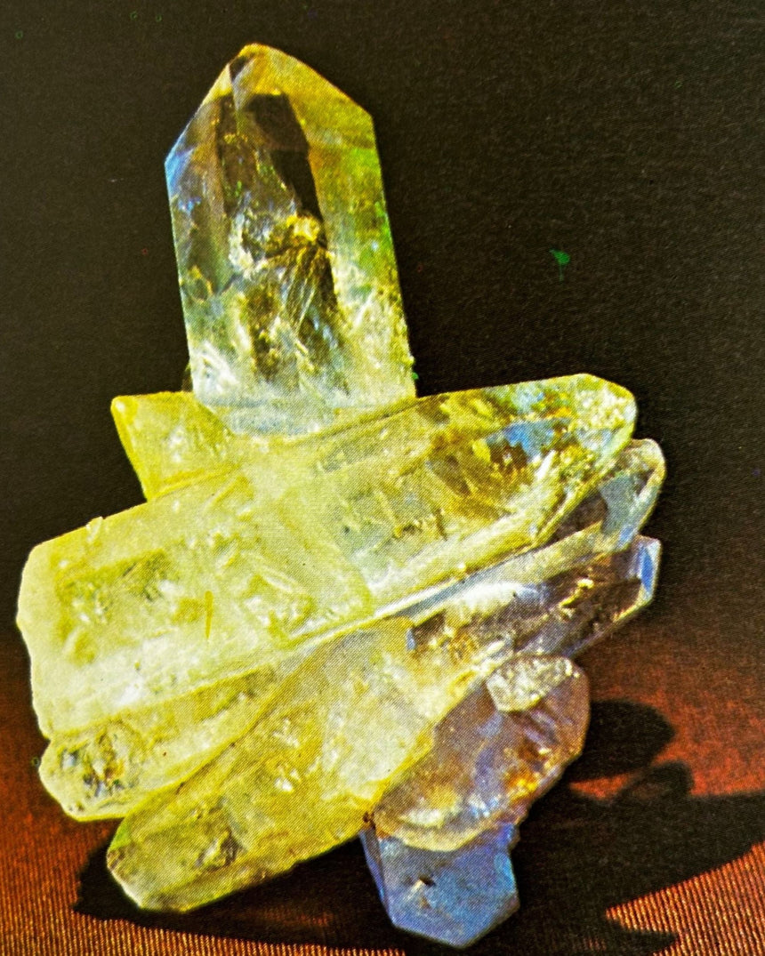 Pestil Books for vitruta Erfolgreich gärtnern: durch naturgemäßen Anbau