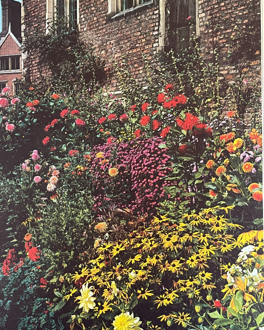 Pestil Books for vitruta Flower Arranging