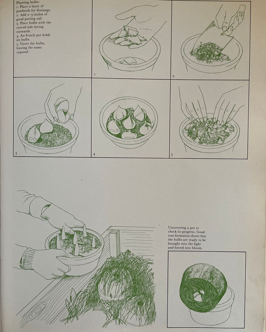 Pestil Books for vitruta Flower Arranging