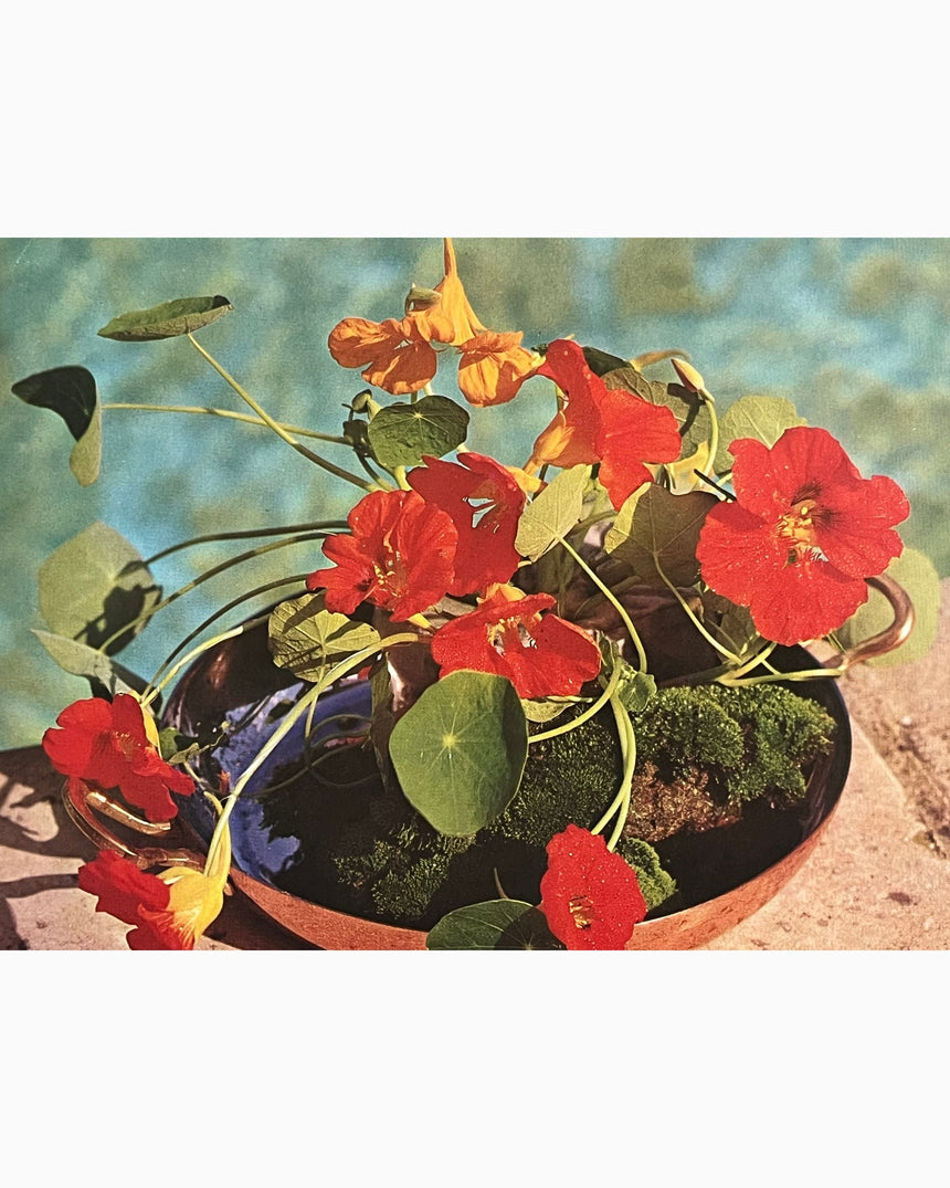 Pestil Books for vitruta Flower Arranging