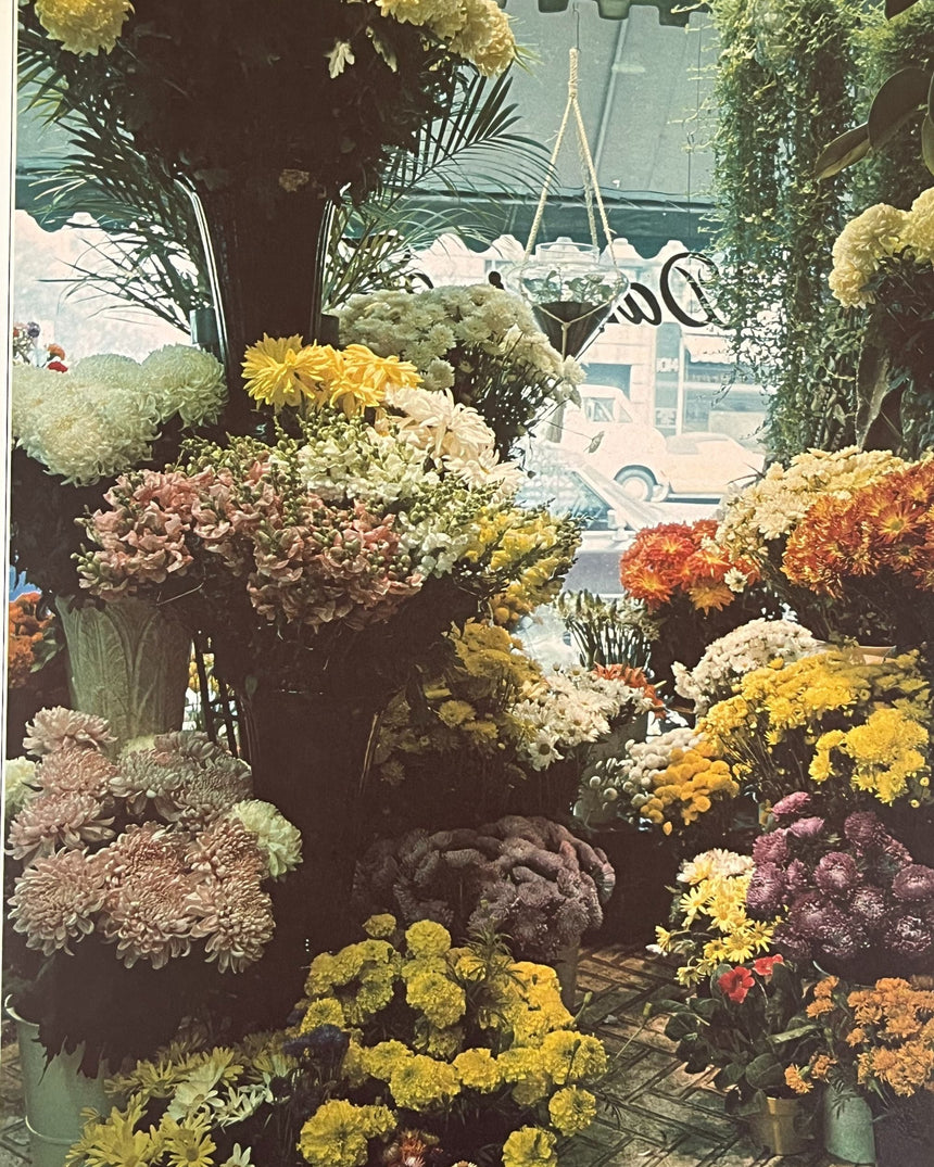 Pestil Books for vitruta Flower Arranging