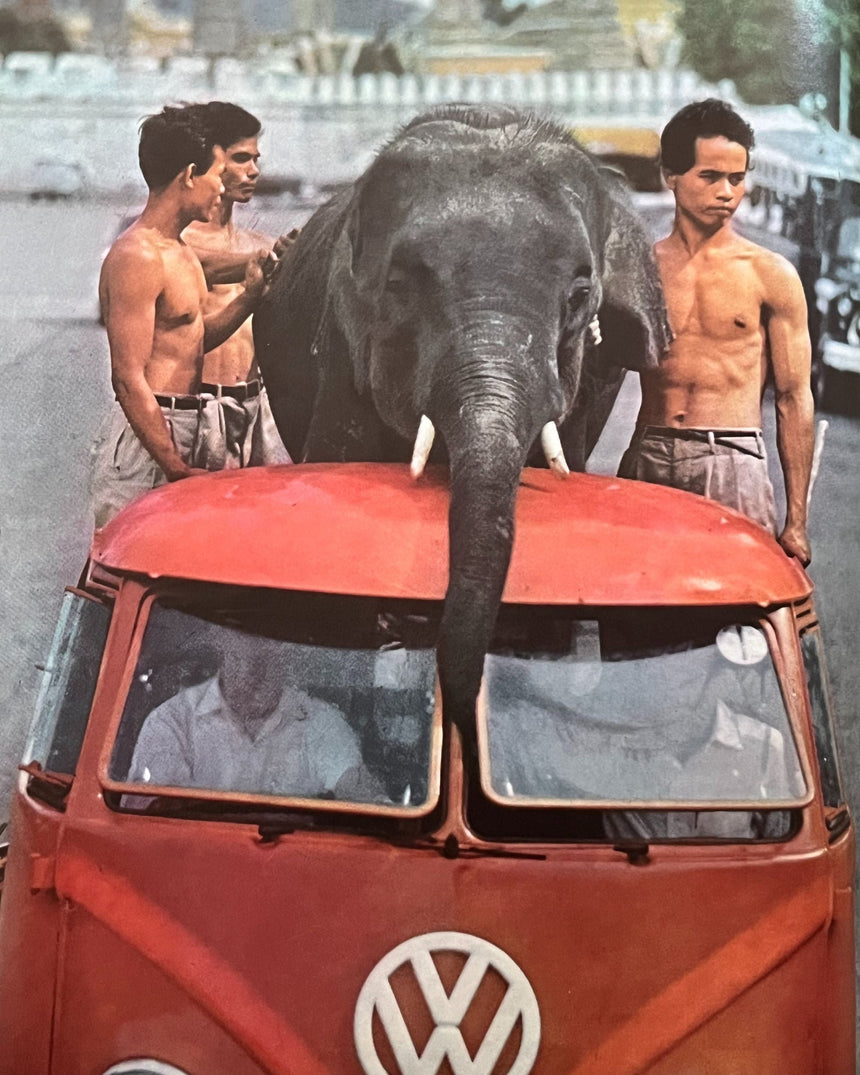 Pestil Books for vitruta Germany: Life World Library