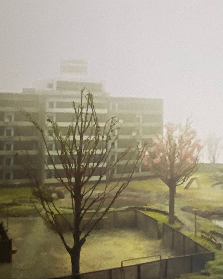 Pestil Books for vitruta Hans Op De Beeck: On Vanishing