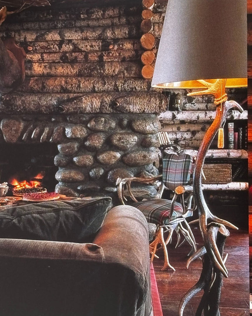 Pestil Books for vitruta HIP HOTELS: SKI