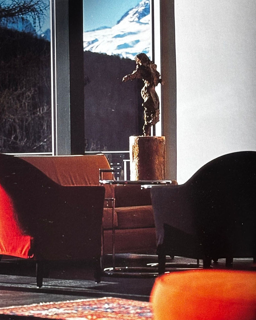 Pestil Books for vitruta HIP HOTELS: SKI