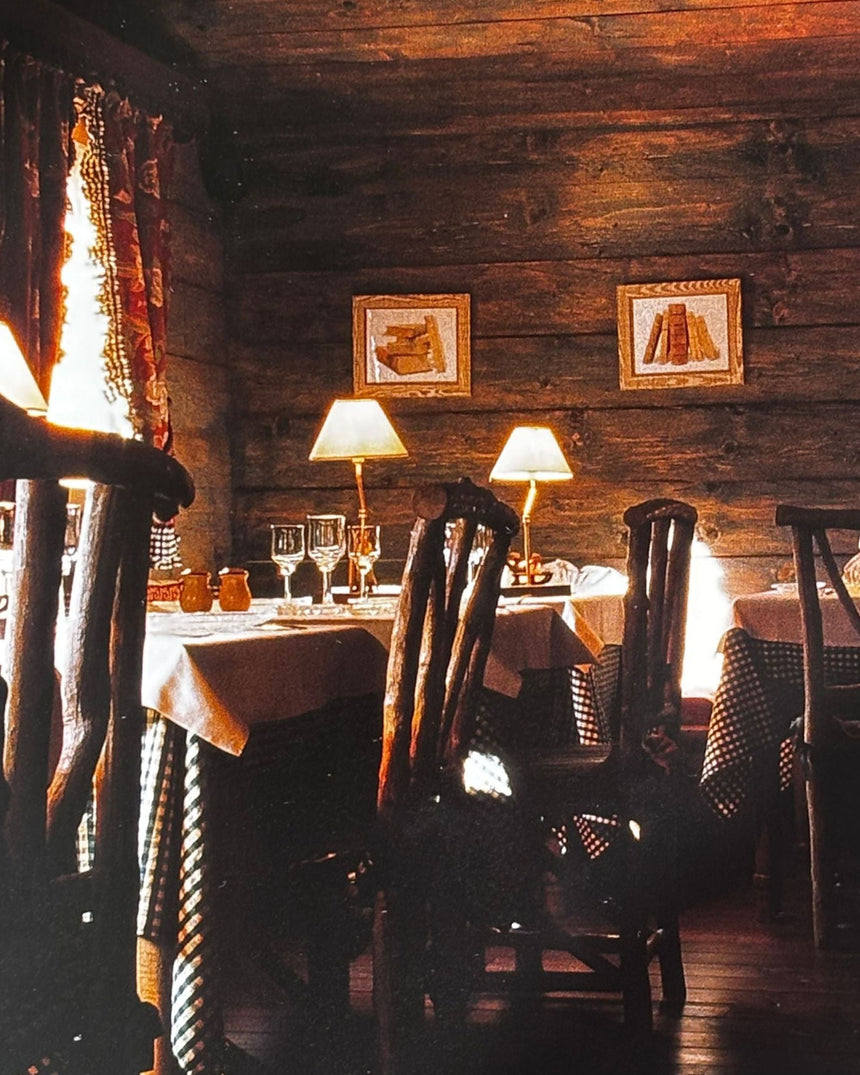 Pestil Books for vitruta HIP HOTELS: SKI