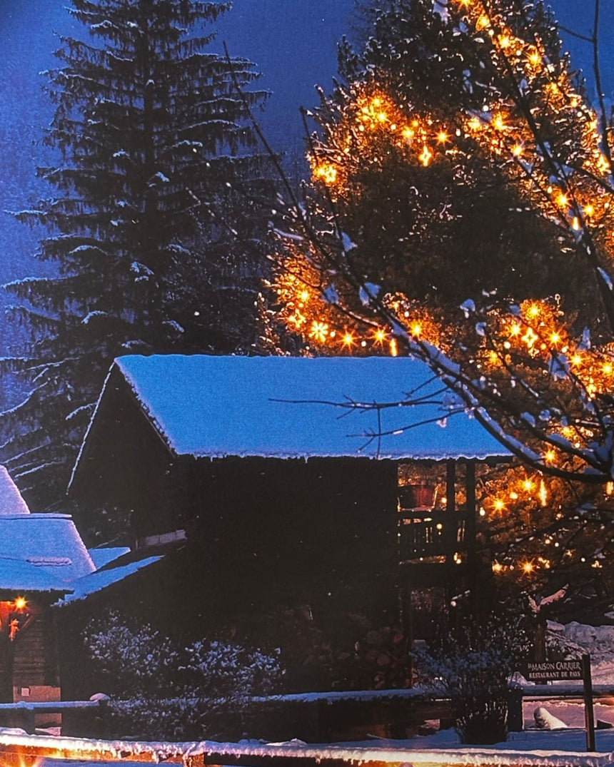 Pestil Books for vitruta HIP HOTELS: SKI