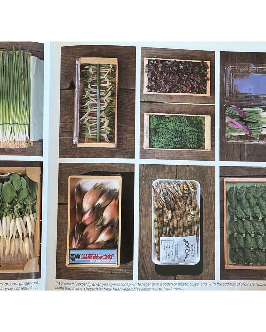 Pestil Books for vitruta Japanese Style